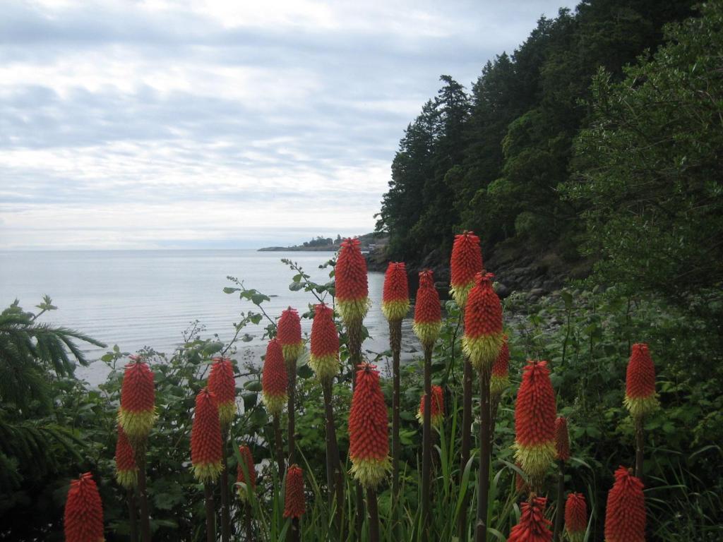 The Lodge At Weir'S Beach Metchosin Exterior photo